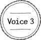 Voice3